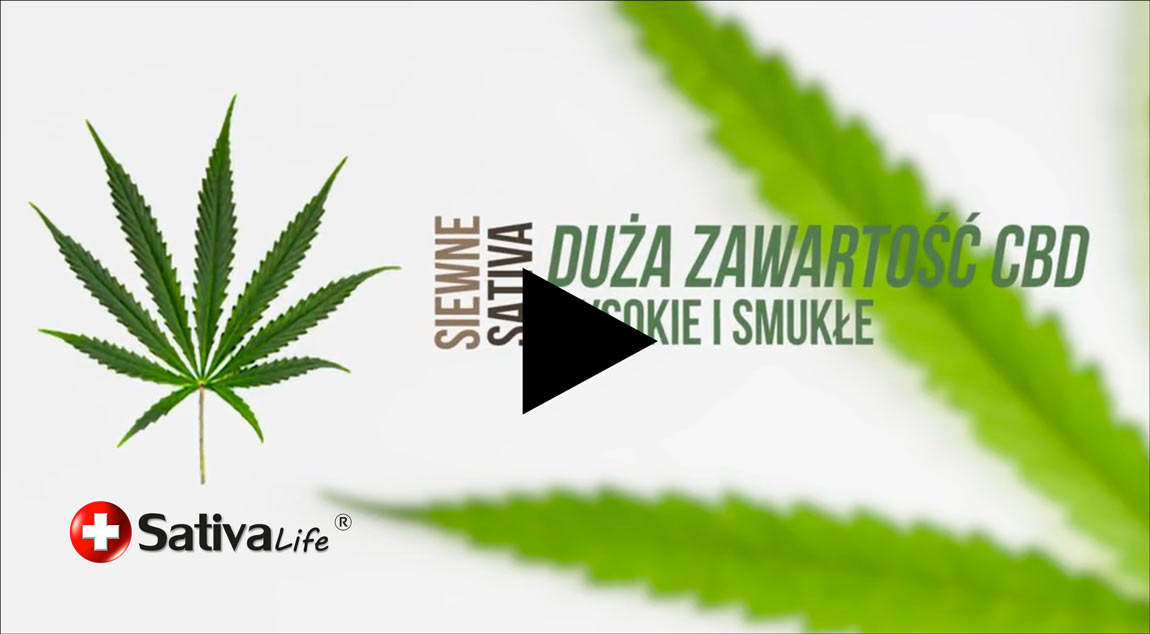 Sativa Life Podlaska Natura