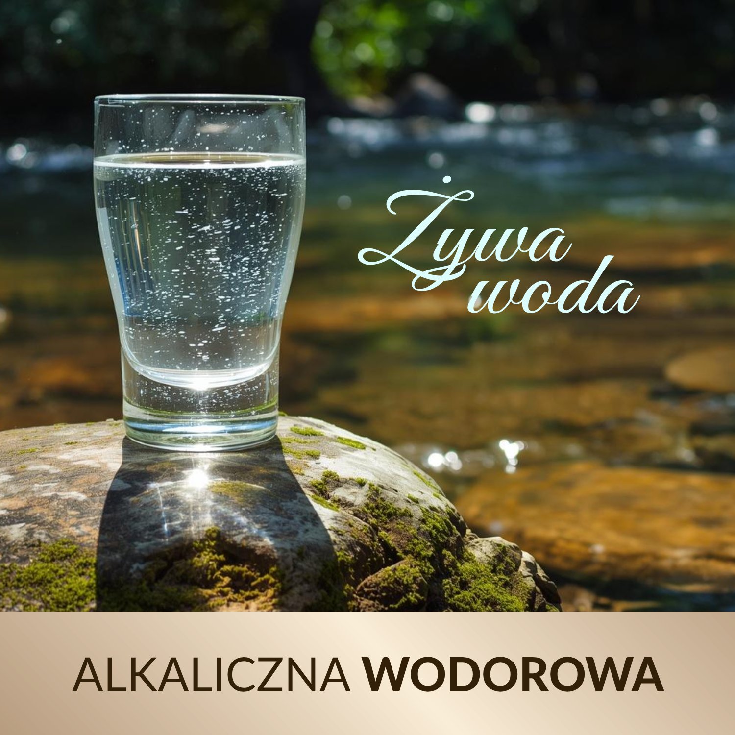 Podlaska Natura Sativa life żywa woda alkaliczna wodorowa jonizowana woda